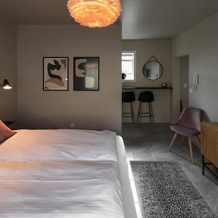 Apartment Charming And Renovated In Centre Reykjavik
